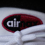 NIKE AIR MAX 95 / SB CACTUS FLOWER