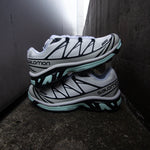 SALOMON XT-6 / WHITE ICE MORN