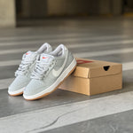 NIKE DUNK / Pro ISO Orange Grey Wolf - Low