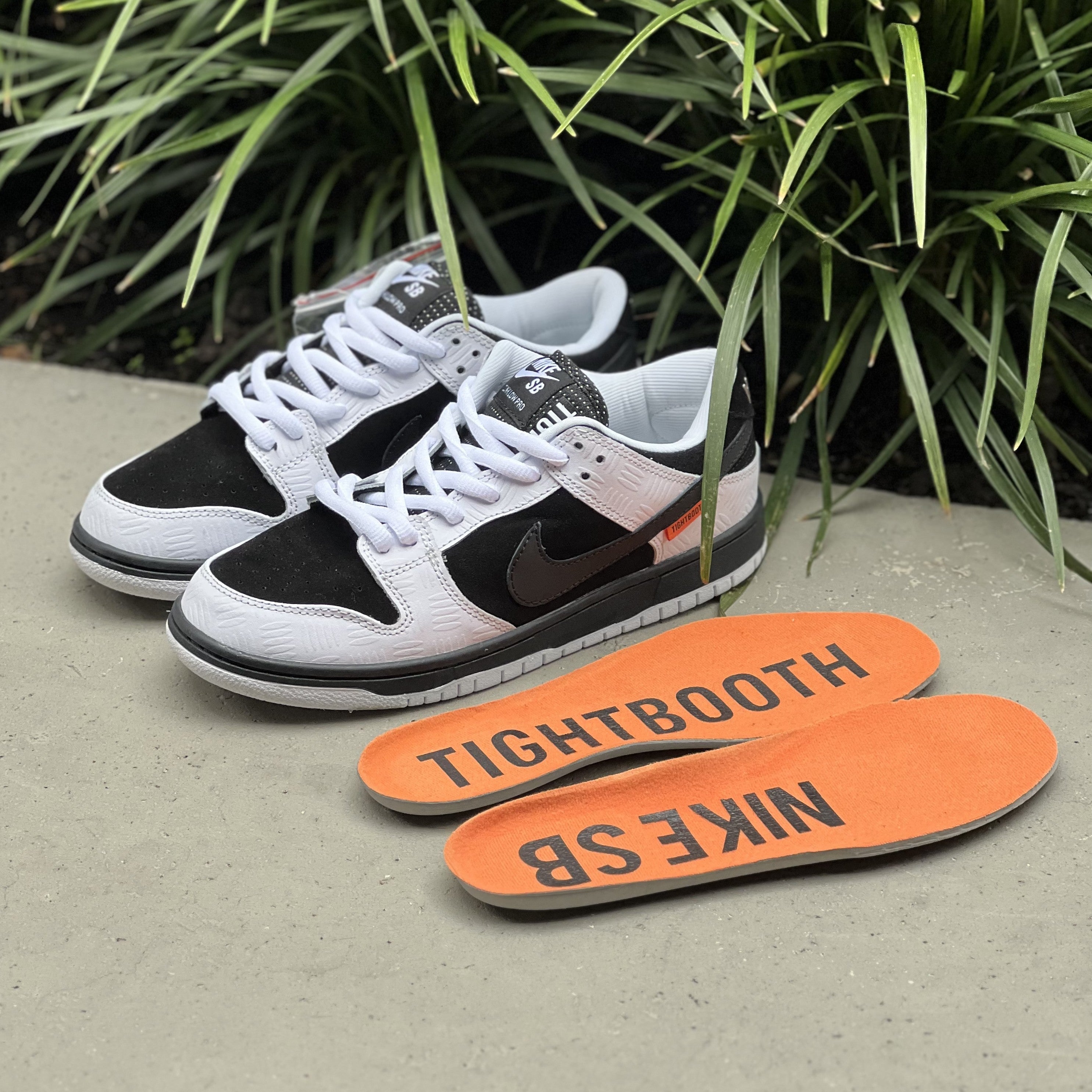 NIKE DUNK SB / TIGHTBOOTH - Low