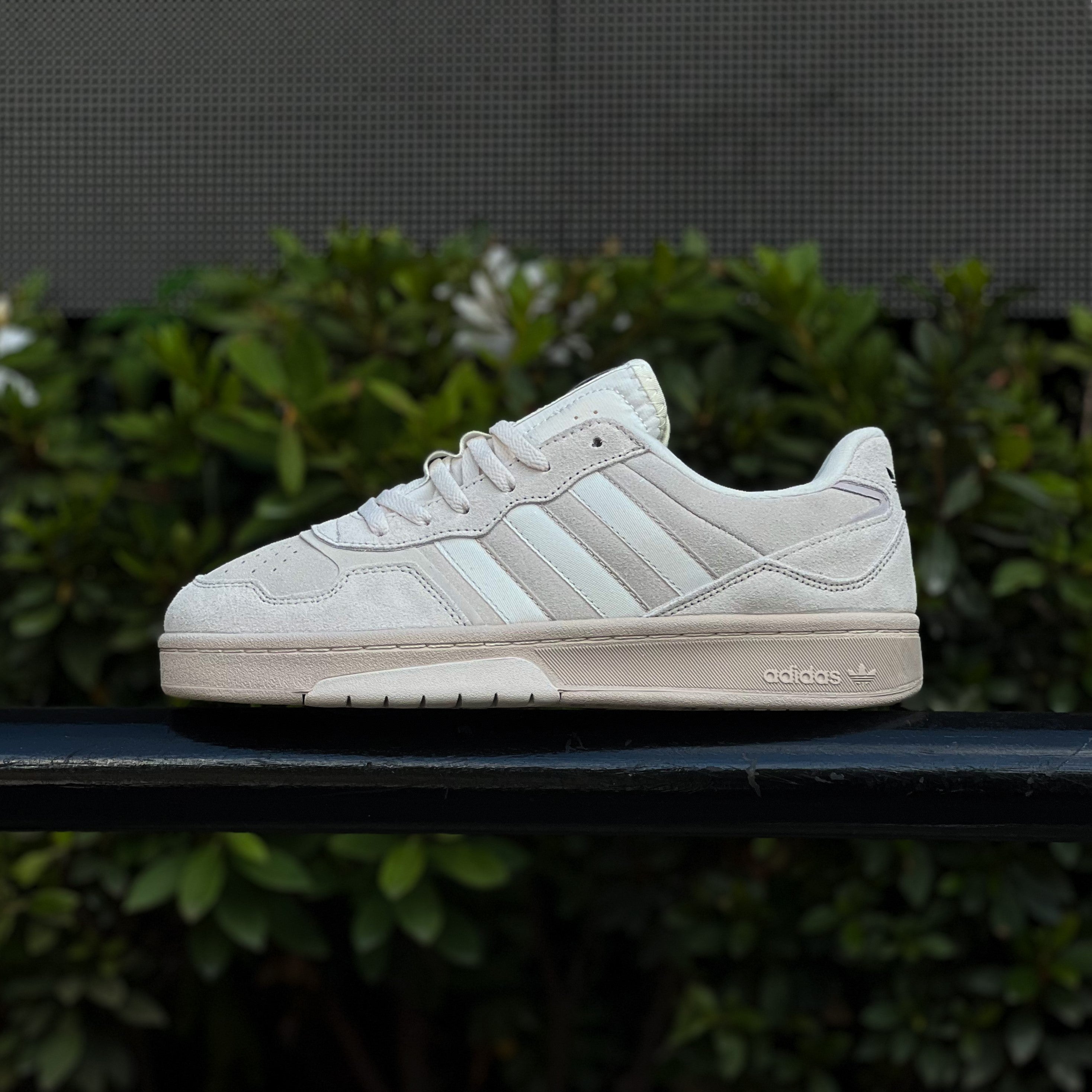 Adidas Forum / Courtic Beige