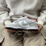 NIKE DUNK / Year of the Dragon - Low