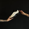 Nike Air Max 97' / Light Bone