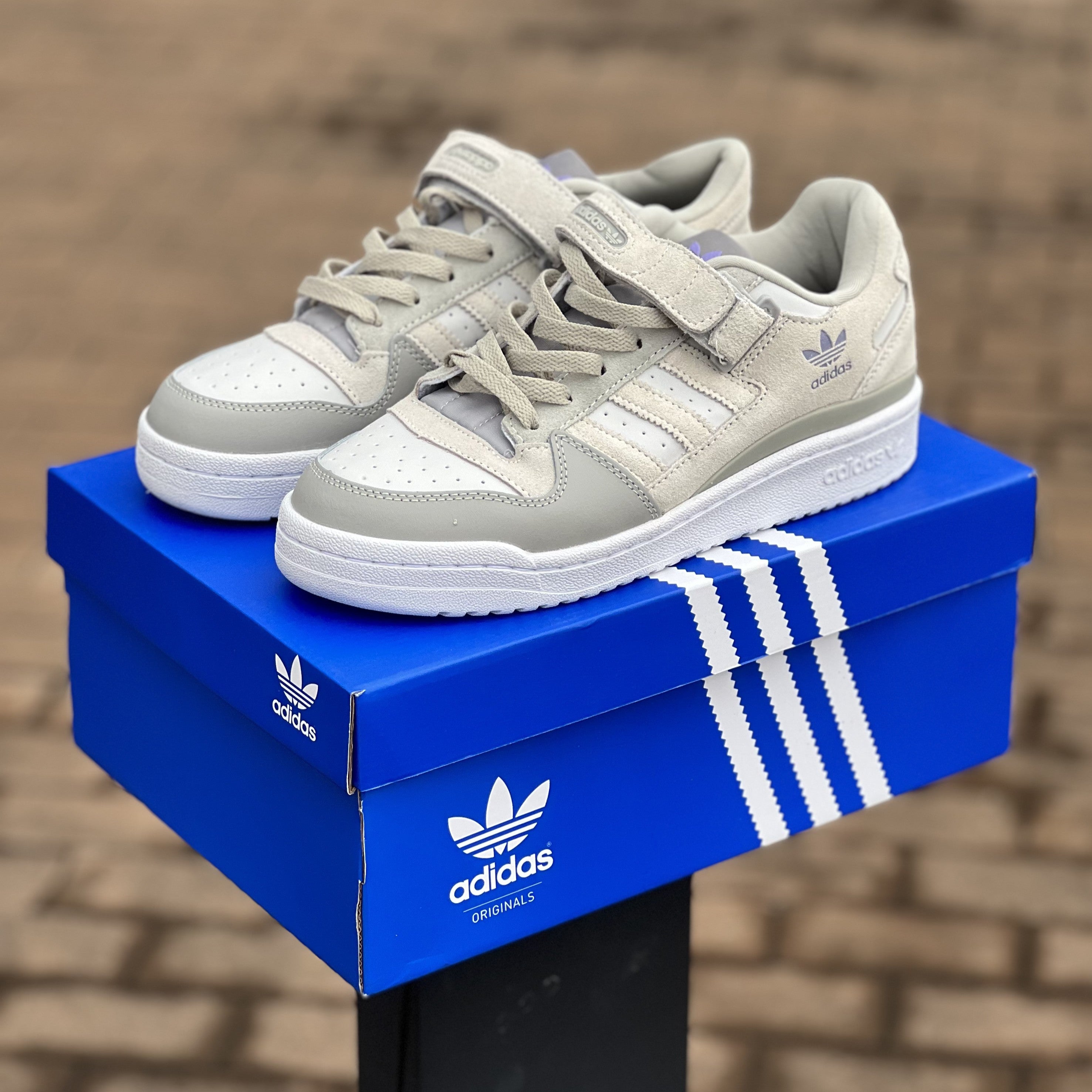 Adidas Forum / Grey One - Low