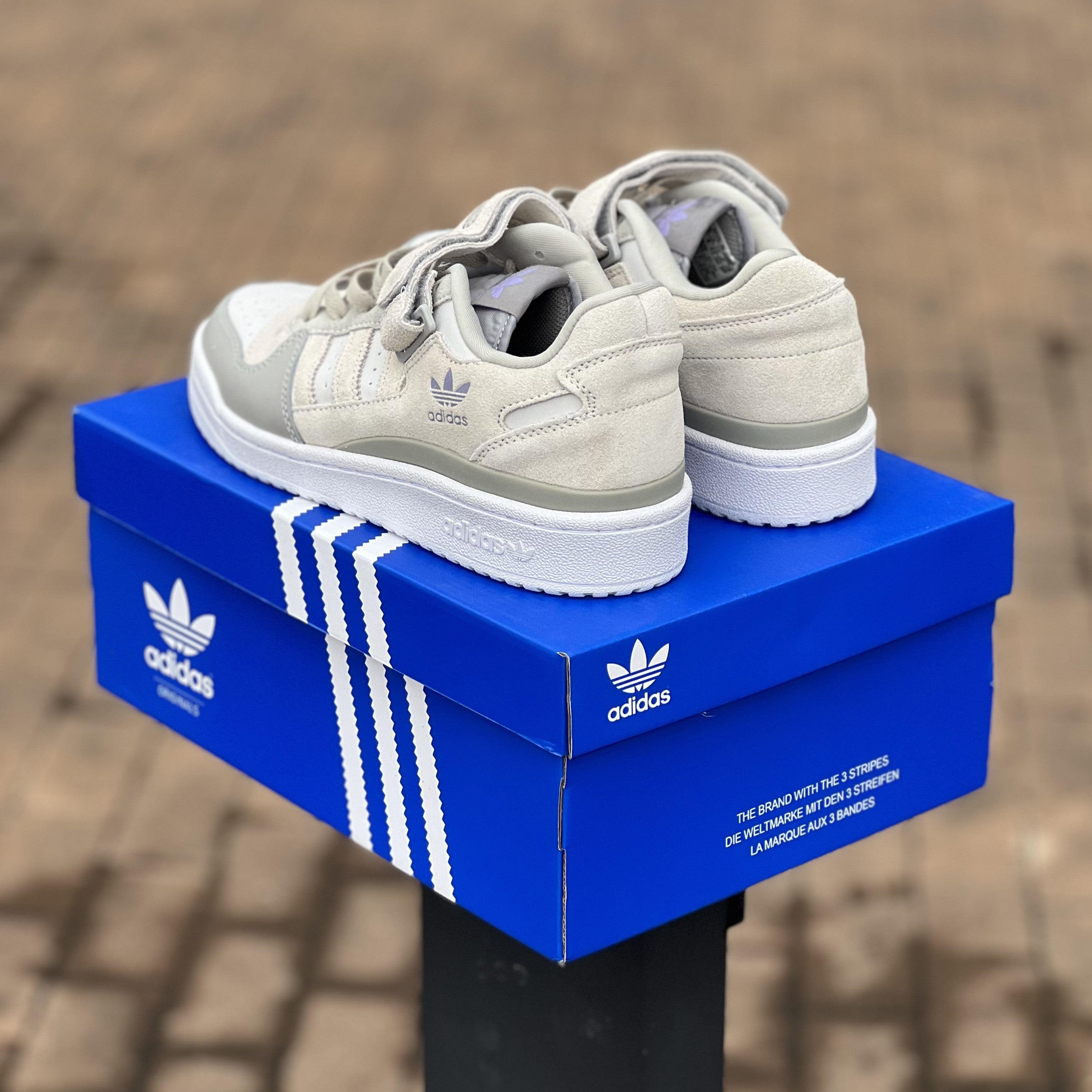 Adidas Forum / Grey One - Low