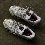 Nike P-6000 / Platinum Metallic
