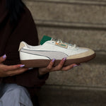 PUMA Vlado Stenzel