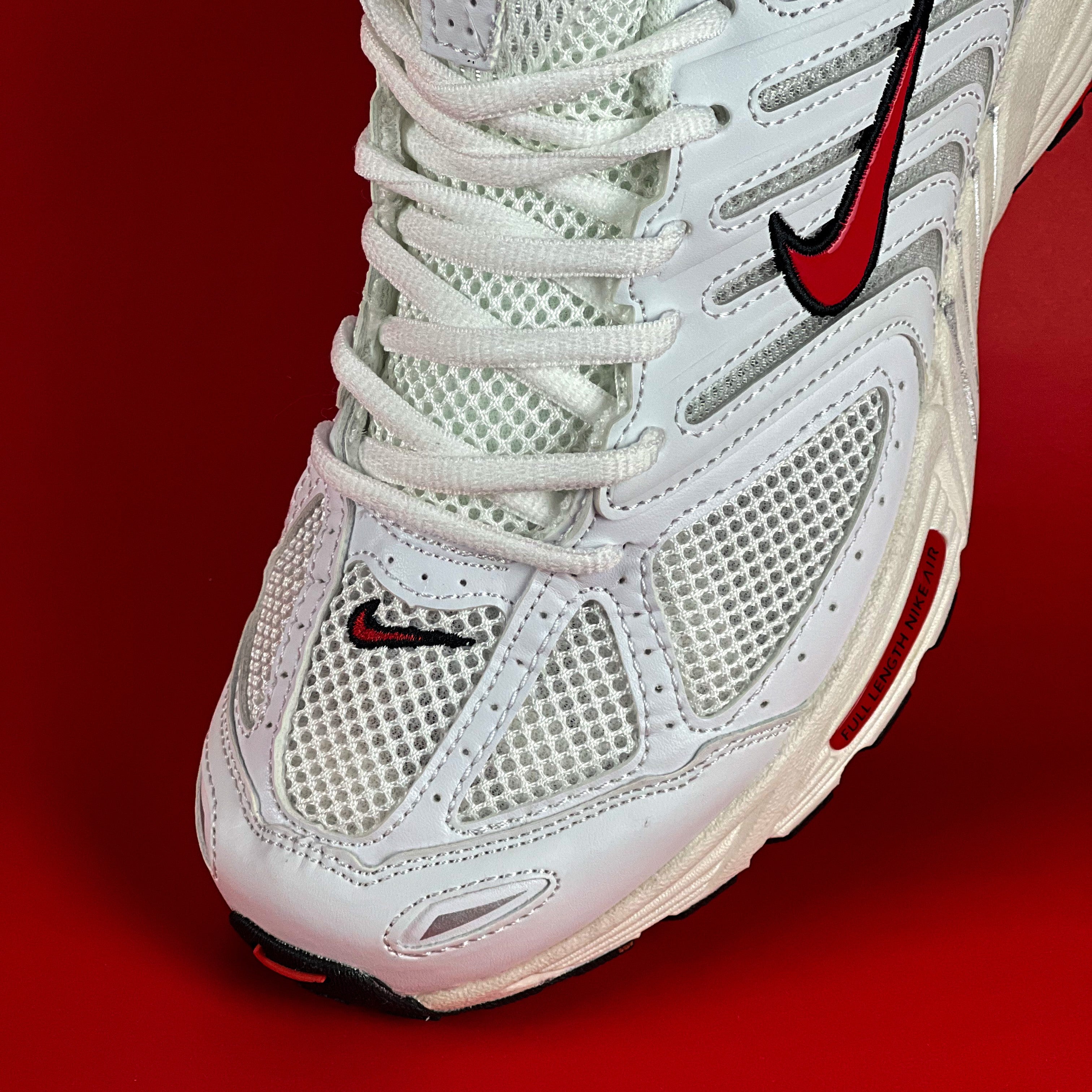NIKE AIR PEG 2K5 / Phantom and Coconut Milk
