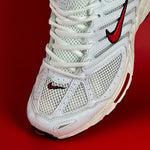 NIKE AIR PEG 2K5 / Phantom and Coconut Milk