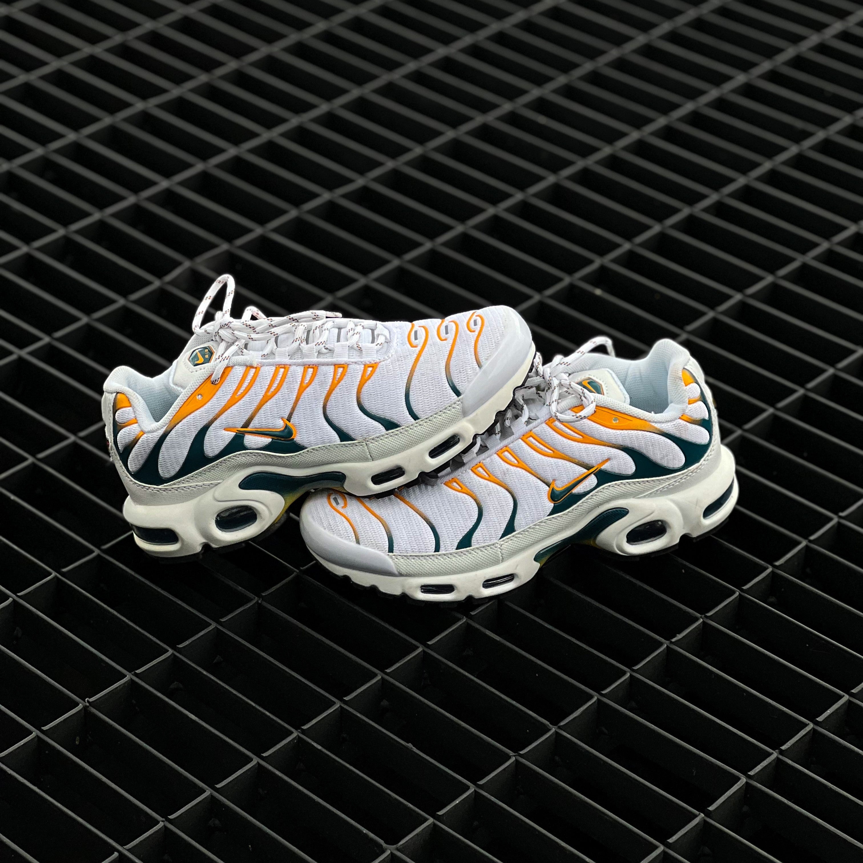 Nike Air Max Plus TN / Hiking