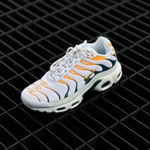 Nike Air Max Plus TN / Hiking